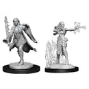 D&D Nolzur's Marvelous Miniatures: Multiclass Warlock+Sorcerer Female 1