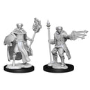 D&D Nolzur's Marvelous Miniatures: Multiclass Cleric+Wizard Male 1