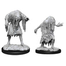 D&D Nolzur's Marvelous Miniatures: Bodaks 1