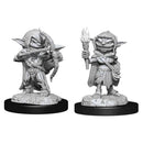 Pathfinder Deepcuts: Goblin Rogue Female 1