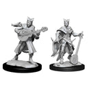D&D Nolzur's Marvelous Miniatures: Tiefling Bard Female 1