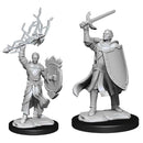 D&D Nolzur's Marvelous Miniatures: Half-Elf Paladin Male 1