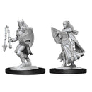 D&D Nolzur's Marvelous Miniatures: Kalashtar Cleric Female 1