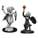 D&D Nolzur's Marvelous Miniatures: Changeling Cleric 1