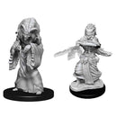 D&D Nolzur's Marvelous Miniatures: Night Hag & Dusk Hag 1