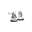 Winter Eladrin and Spring Eladrin D and D Nolzurs Marvelous Unpainted Miniatures W15 Miniature Game by Wiz Kids 1
