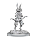 Dungeons & Dragons Nolzur's Marvelous Unpainted Miniatures: Paint Kit - Harengon 3
