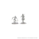 D&D Nolzur's Marvelous Unpainted Miniatures: Half-Elf Rogue Female 3