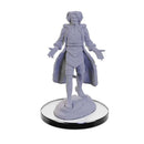 Lucien Tavelle and Cree Deeproots Critical Role Unpainted Miniatures W5 Miniature Game by Wiz Kids 3