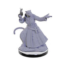 Lucien Tavelle and Cree Deeproots Critical Role Unpainted Miniatures W5 Miniature Game by Wiz Kids 4
