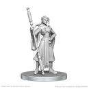 Critical Role Unpainted Miniatures: Beauregard Lionett & Caleb Widogast 1
