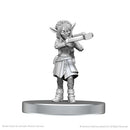 Critical Role Unpainted Miniatures: Veth Brenatto & Nott the Brave 2