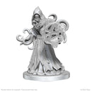 Pathfinder Battles Deep Cuts Unpainted Miniatures Aghash and Venedaemon Pact Daemon