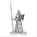 Pathfinder Battles Deep Cuts Unpainted Miniatures Vloriak Despoiler Demon and Demonologist