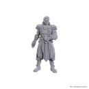 Dungeons and Dragons Nolzurs Marvelous Unpainted Miniatures Baldurs Gate 3 Jaheira and Halsin