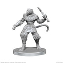 Pathfinder Battles Deep Cuts Unpainted Miniatures Elf Hunter and Catfolk Bandit
