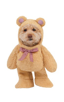 Walking Teddy Bear Pet Costume 1
