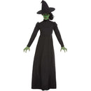 Wicked Witch Costume Adult Long Black Dress and Hat 1