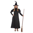 Wicked Witch Costume Adult Dress and Hat 1