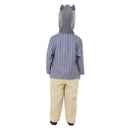 Wind In The Willows Ratty Deluxe Costume Child Blue 2