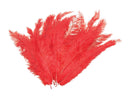 Womens Blondine Feather Red 12 Pkt Feathers Female Packet Halloween Costume 1