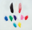 Womens Spadone Feathers Royal Blue 5 Pkt Female Packet Halloween Costume 1