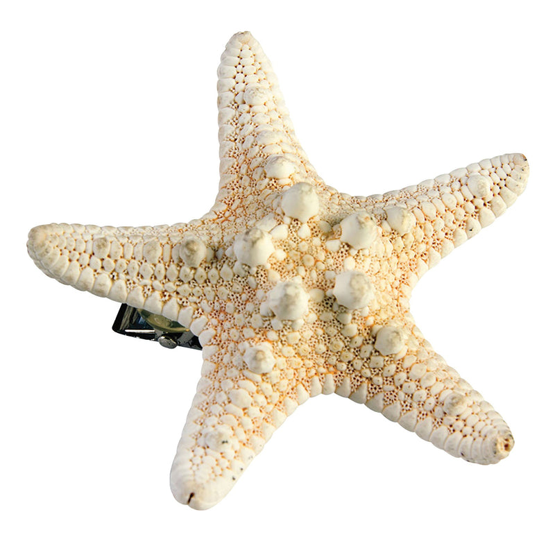 Mermaid Starfish Hairclip Costume Accessories Female_1 X75002