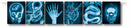 Mad Scientist Xray Banner_1 X81060