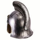 Skull Viking Helmet_1 x82557