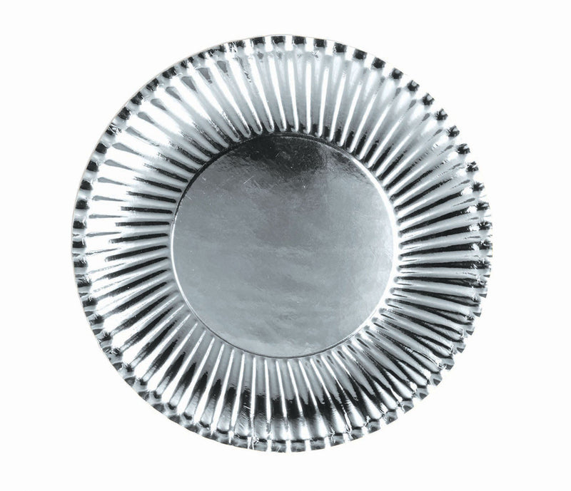 Silver Paper Plates Lge. 10 Pack 23cm_1 X82938