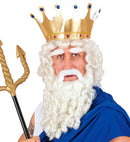 Olympian God Curly Locks Wig Withbeard, Moustache & Eyebrows In Box
