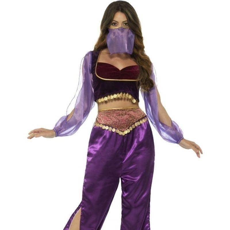 Arabian Princess Costume Adult Purple_1 sm-24702m