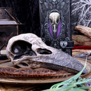 Edgars Raven Skull Figurine Edgar Allen Poe Ornament Edgars 21cm 7