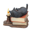 Witching Hour Cat Figurine by Lisa Parker Black Candle Ornament 20.5cm 3