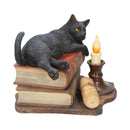 Witching Hour Cat Figurine by Lisa Parker Black Candle Ornament 20.5cm 6