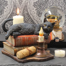Witching Hour Cat Figurine by Lisa Parker Black Candle Ornament 20.5cm 7