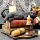 Witching Hour Cat Figurine by Lisa Parker Black Candle Ornament 20.5cm 8
