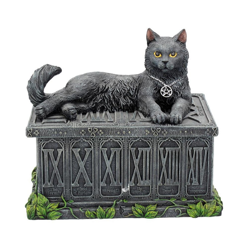 Fortunes Watcher Cat Familiar Tarot Box