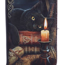 Witching Hour Cat Witch Purse Black Embossed 18.5cm by Lisa Parker 6