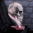 Metallica Sad but True Pushead Skull Figurine Ornament 22cm Officially Licensed 5