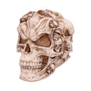 Skull of Skulls Skeleton Ornament 18cm by James Ryman 2