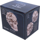 Skull of Skulls Skeleton Ornament 18cm by James Ryman 5