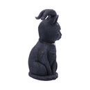 Pawzuph Horned Occult Cat Figurine 11cm 4
