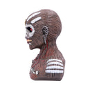 Iron Maiden Book of Souls Eddie Bust Box The 26cm Officially Licensed Statue 2