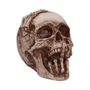 Breaking Out Skull Skeleton Ornament 20cm