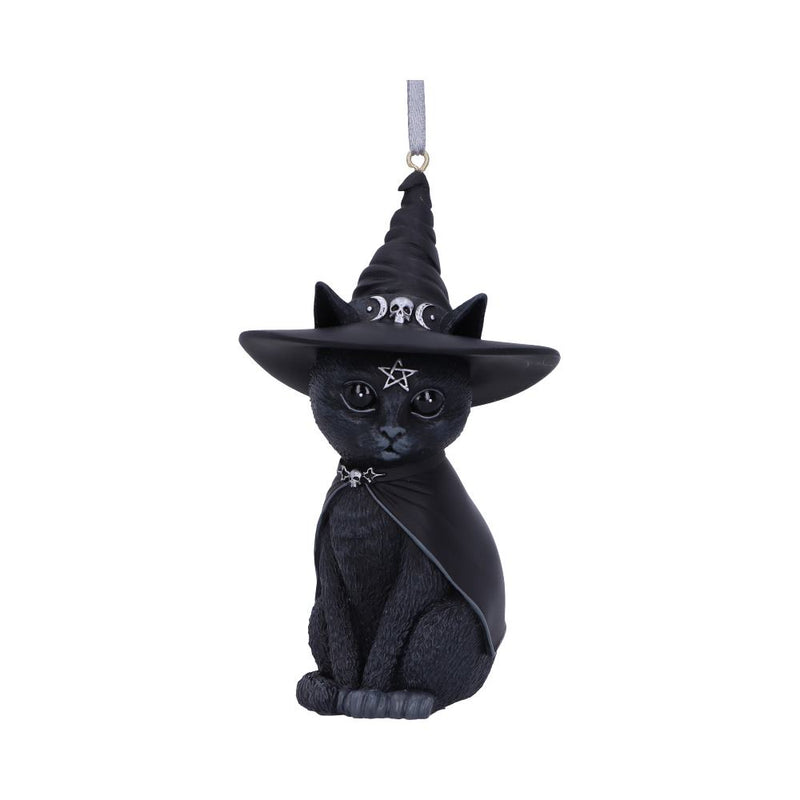 Purrah Black Witch Cat Hanging Decorative Ornament 115cm