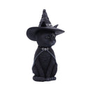 Cult Cuties Purrah Witch Cat Figurine 30cm Large 4