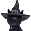 Cult Cuties Purrah Witch Cat Figurine 30cm Large 5