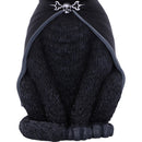 Cult Cuties Purrah Witch Cat Figurine 30cm Large 6