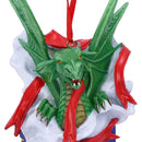Surprise Gift Hanging Ornament 12.5cm by Anne Stokes 5